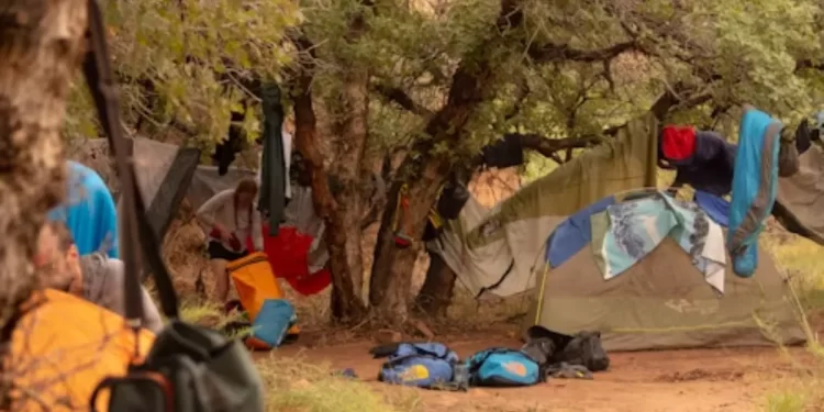 recycle old tie down straps